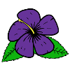 Fleur pourpre