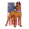 Great Dane