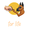 Great Dane