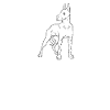 Great Dane
