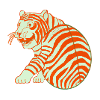 Tangerine Tiger