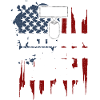 Combat Veteran Operation Desert...