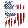 Afghanistan Veteran - Veteran