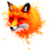 Wild Creativity Fox
