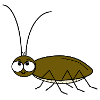 Cockroach