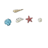 Collecting shells