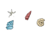 Collecting shells