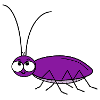 Cockroach