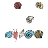 Collecting shells