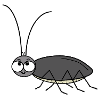 Cockroach