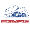 Sport Us Flag Drifting