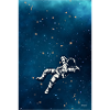 MoonMan