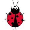 Ladybird