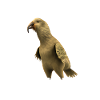 Save the Kakapo