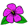 Fleur