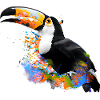 Farbige Toucan-Illustration