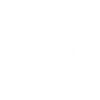 Rummy