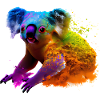 Koala in Farbexplosion