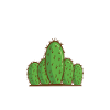 Fucktus Kaktus Mittelfinger Statement