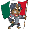 Mexico Fan Dog