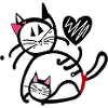 Chat - Cat - Chaton