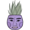 happy mystic plant