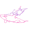 Killer Whale Orca pink