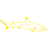 Shark in yellow