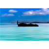 Blue is the ocean