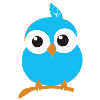 Cute Baby Owl Birdy