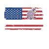 Raccoon