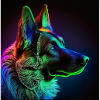 Alsatian neon