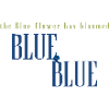 Blue Flower Bloom Typography