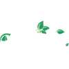 Nature Leaves Serif Logo