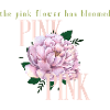 Blooming Pink Peony