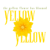 Fleurs jaunes : design floral audacieux