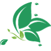 Nature Butterfly