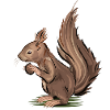 Eichhörnchen