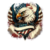 American Patriotic USA Design