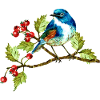 Bunter Vogel