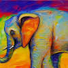 help_for_elephants_11