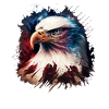 American Patriotic USA Design