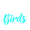 Bird Owner Gift Bird Lover