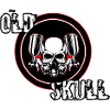 old skull 2