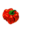 Chili