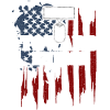 Front Toward Enemy - Veteran