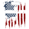 Drill Sergeant - Veteran