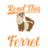 Ferret lover Ferret Gift