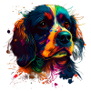 Cute dog