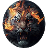 Tiger on fire